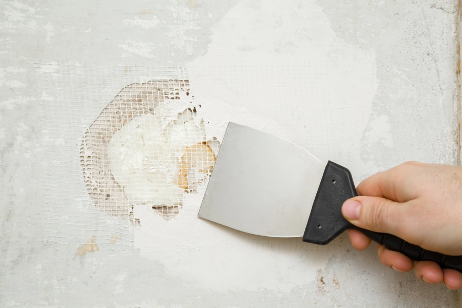 Plaster Repair
